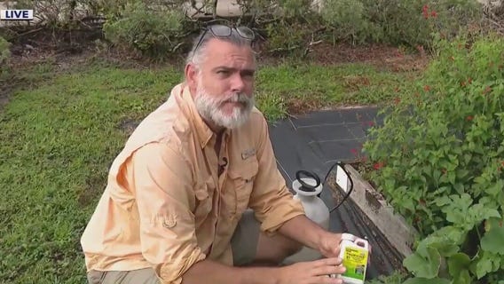 How to keep pests out of the garden