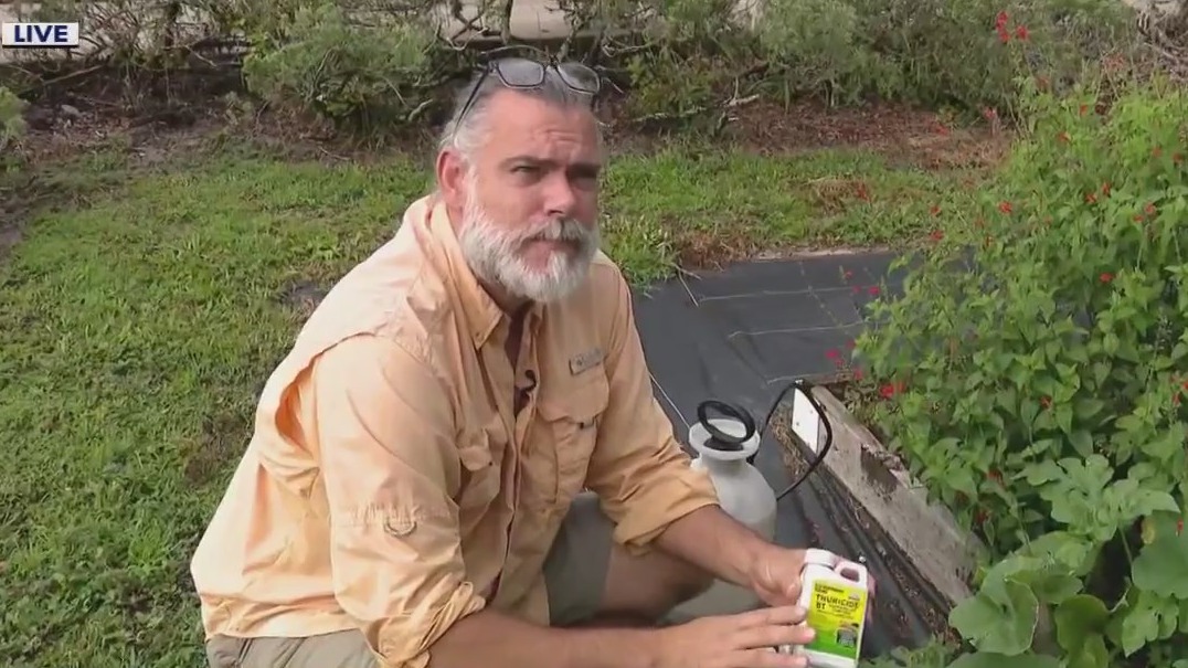 How to keep pests out of the garden