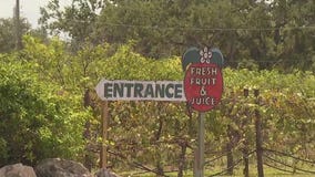 Mixon Fruit Farms to close its doors