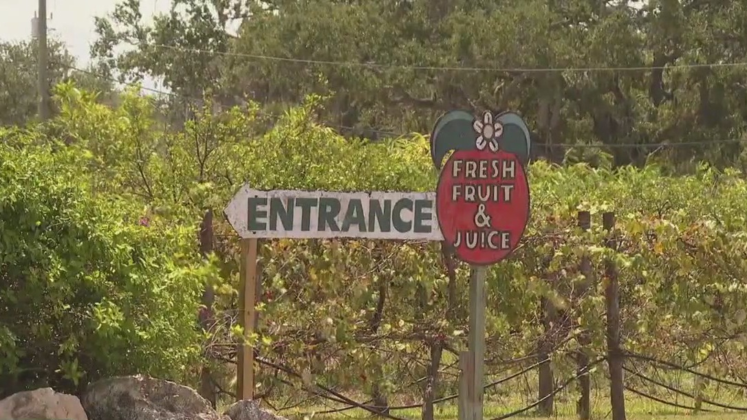 Mixon Fruit Farms to close its doors