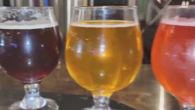 Soggy Bottom Brewing