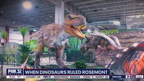 Dinosaurs invading Chicago area this weekend