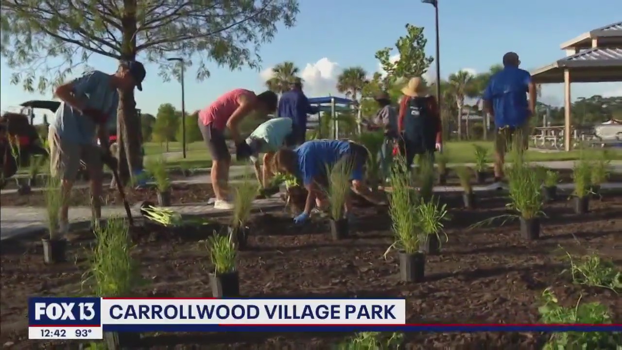 Teaching the community how to grow native plants