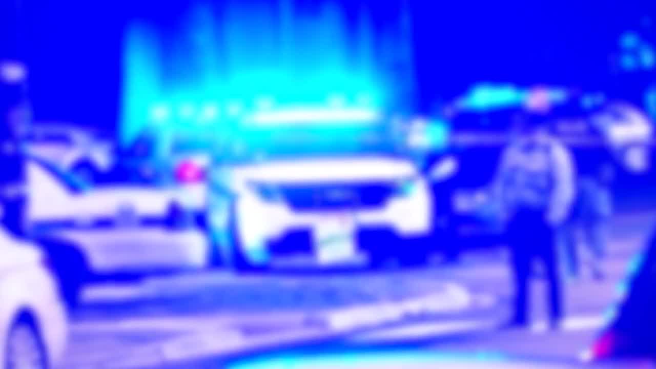 Rosemont mall shooting: 'there was just this thunderous roar and everybody started running'