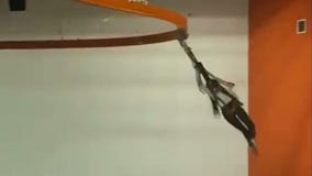 Video shows zipline harness choking Chicago-area woman at adventure park