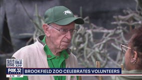 Brookfield Zoo celebrates its volunteers, including a WWII veteran