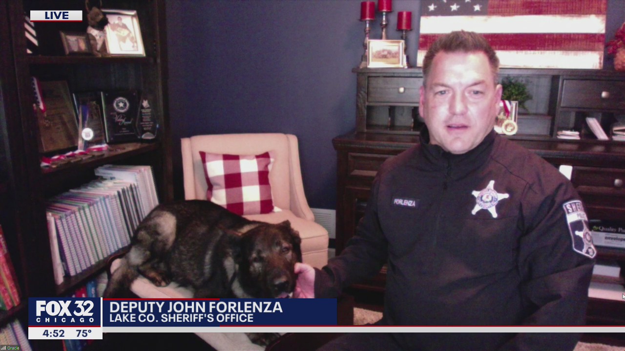 Illinois canine officer apprehends 9 offenders in 24 hours