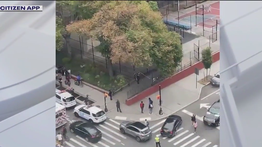 Teen arrested in fatal shooting of boy, 15 | FOX 5 New York