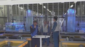 Dave O Science Pro: Fukushima water release