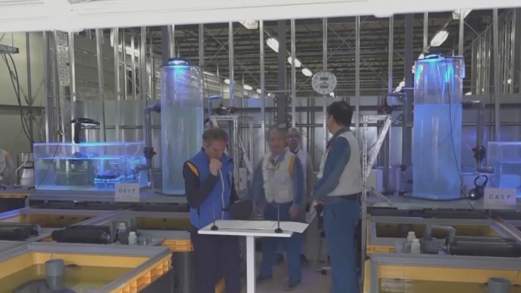 Dave O Science Pro: Fukushima water release