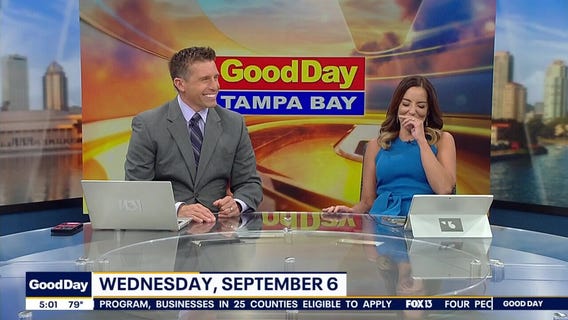 Good Day Goodies extended