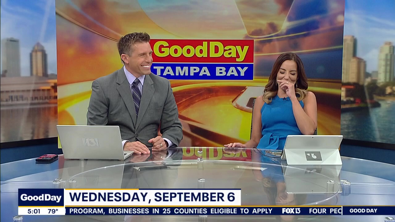 Good Day Goodies extended