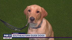 Skilled companion dogs program offers pups for emotional support