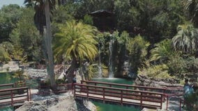 Exotic plants and waterfall at enchanting garden