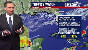 Gulf system unlikely to become tropical