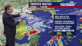 Gulf system to bring rain to Florida