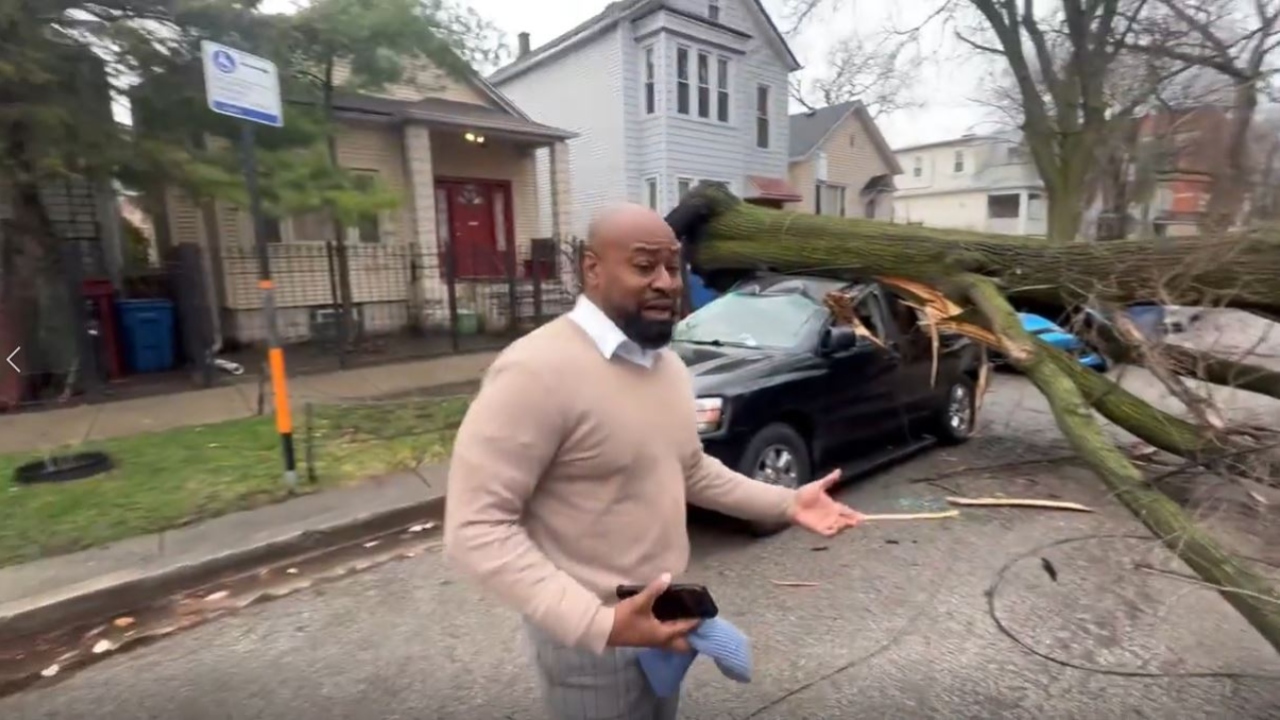 Vehicles crushed in Logan Square after storm knocks down tree