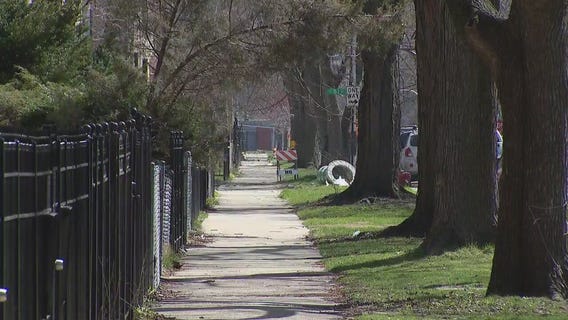 Dog taken from owner at gunpoint in Chatham