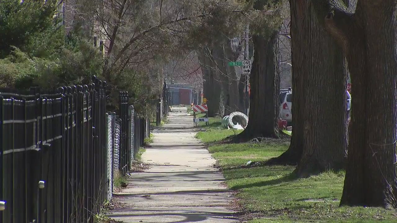 Dog taken from owner at gunpoint in Chatham