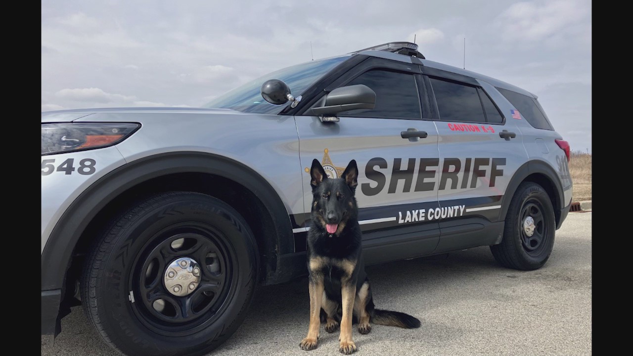 Donation helps fit Lake County's K9 with body armor.
