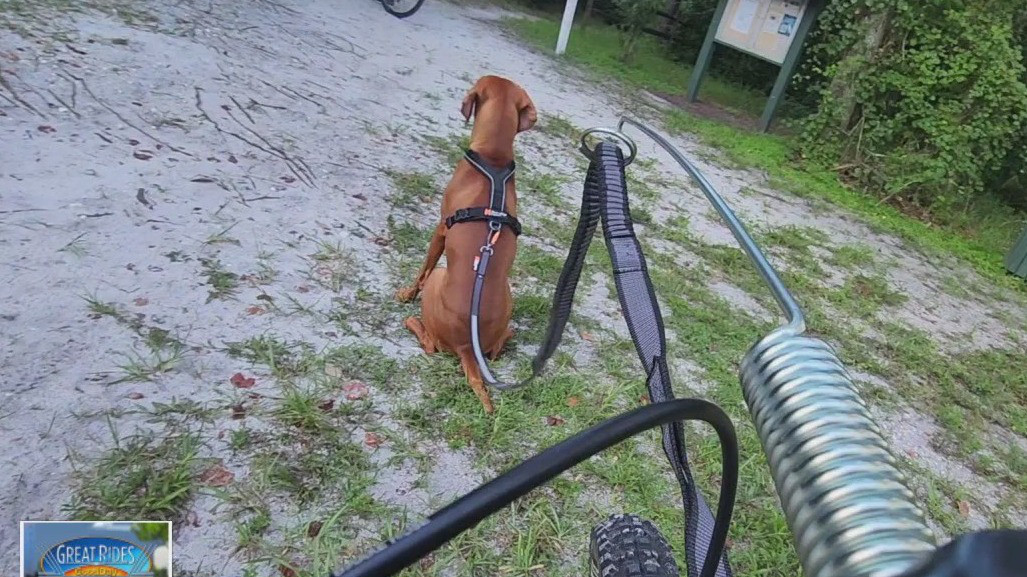 Jeremy and his dog, Ripley cruise on bike