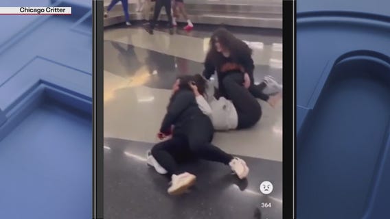 Viral video shows people fighting at O'Hare Airport, 2 charged
