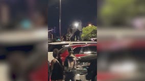 Carnival chaos: Teens take over suburban event, fallout continues