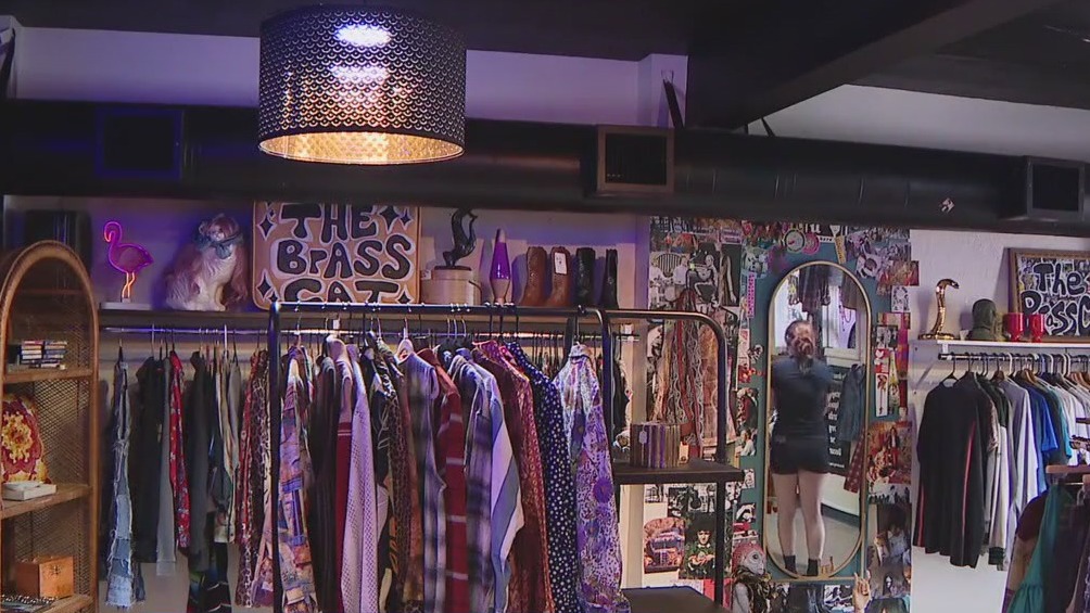 The Brass Cat: Thrifting in New Port Richey