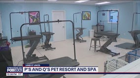 P's and Q's Pet Resort and Spa