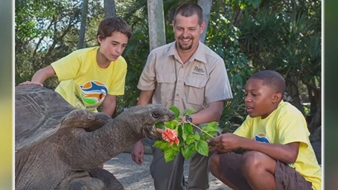 Summer Camp Series: Busch Gardens
