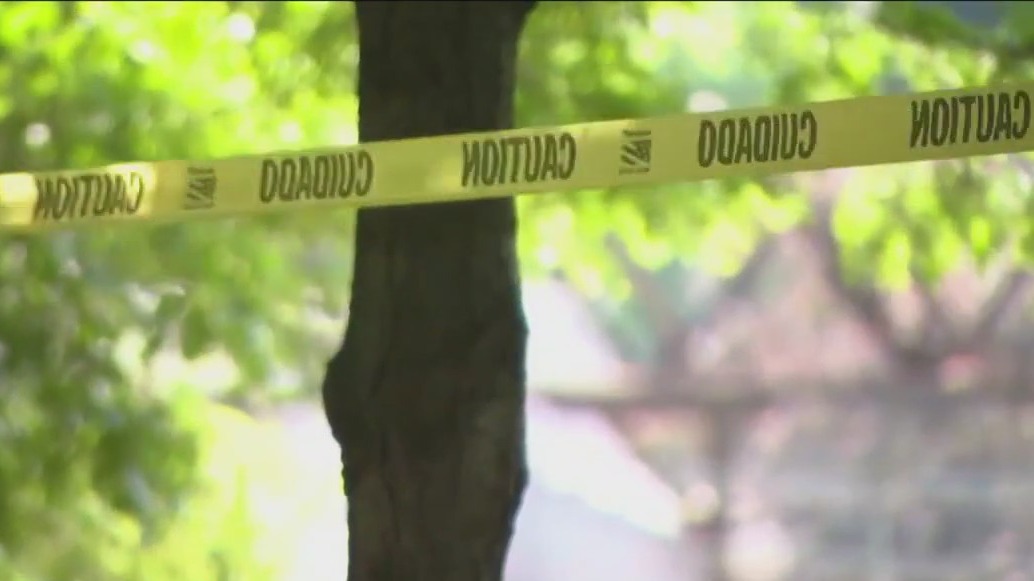 Thieves steal cart vehicles from NASCAR Street Race site in Chicago