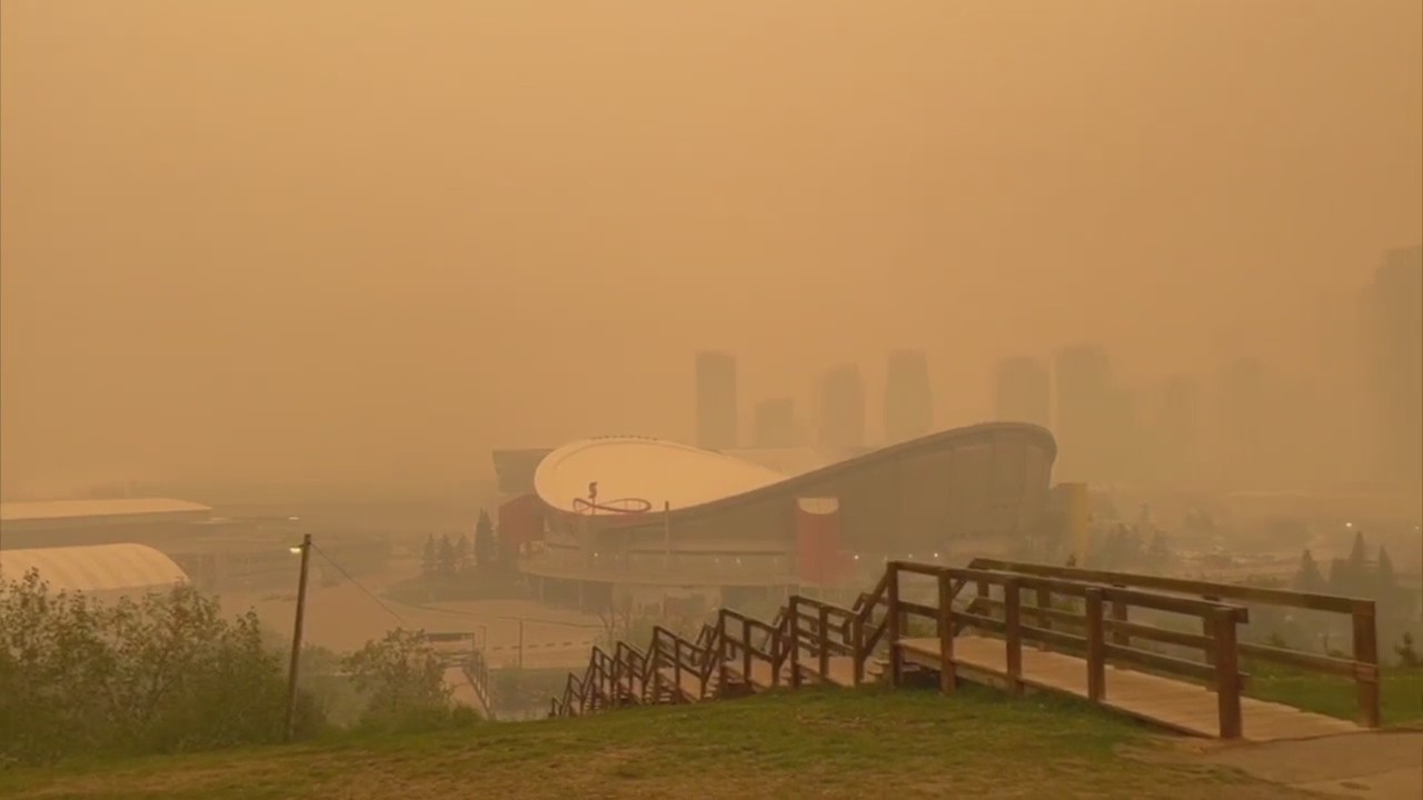 Tips on how to fight poor air quality indoors