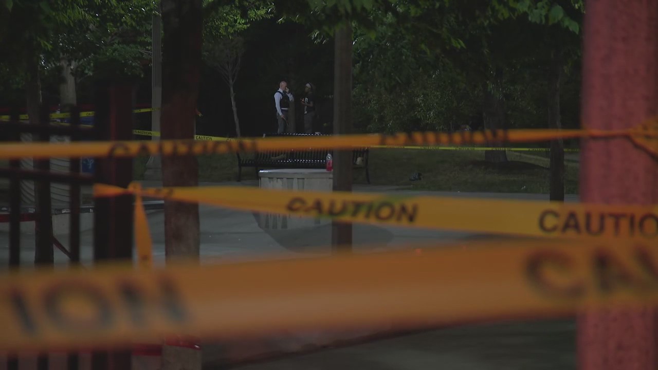 Woman stabbed in Chicago's Grant Park