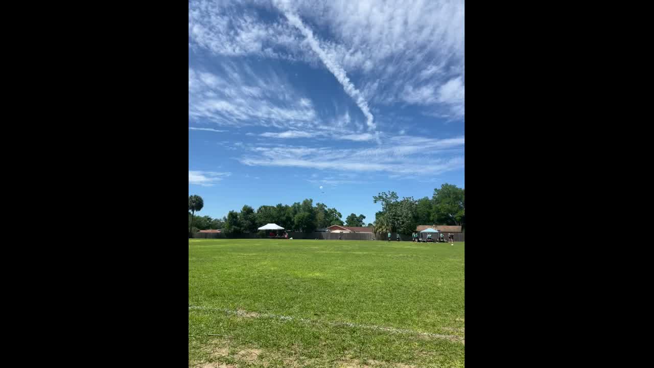 NEW VIDEO: Small plane crashes in Seffner | FOX 13 Tampa Bay