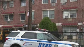 7-year-old girl stabbed in the Bronx