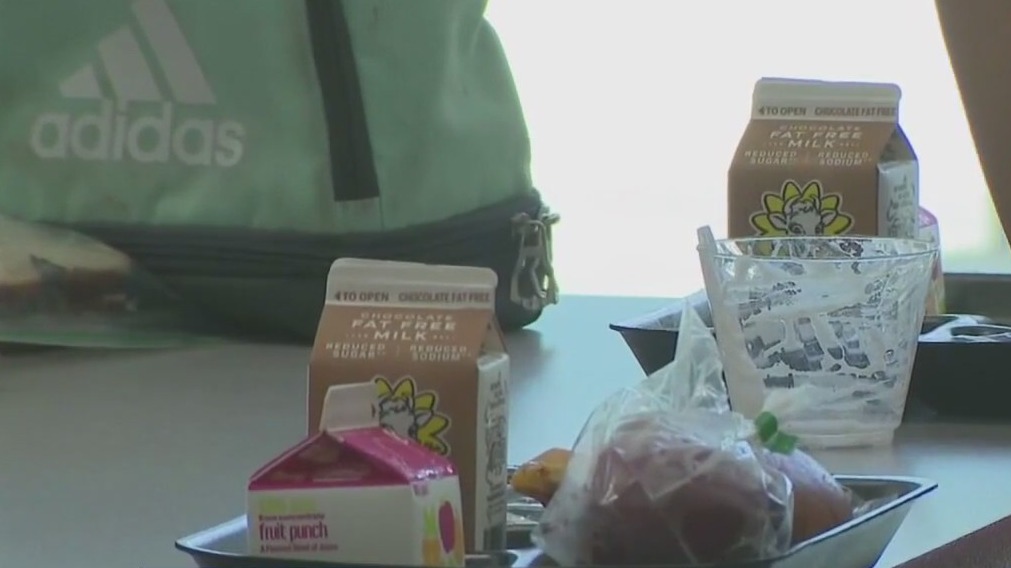 Pasco County Schools free lunch program could end