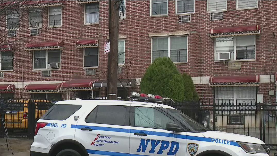 Grandmother accused of stabbing 7-year-old girl repeatedly | FOX 5 New York