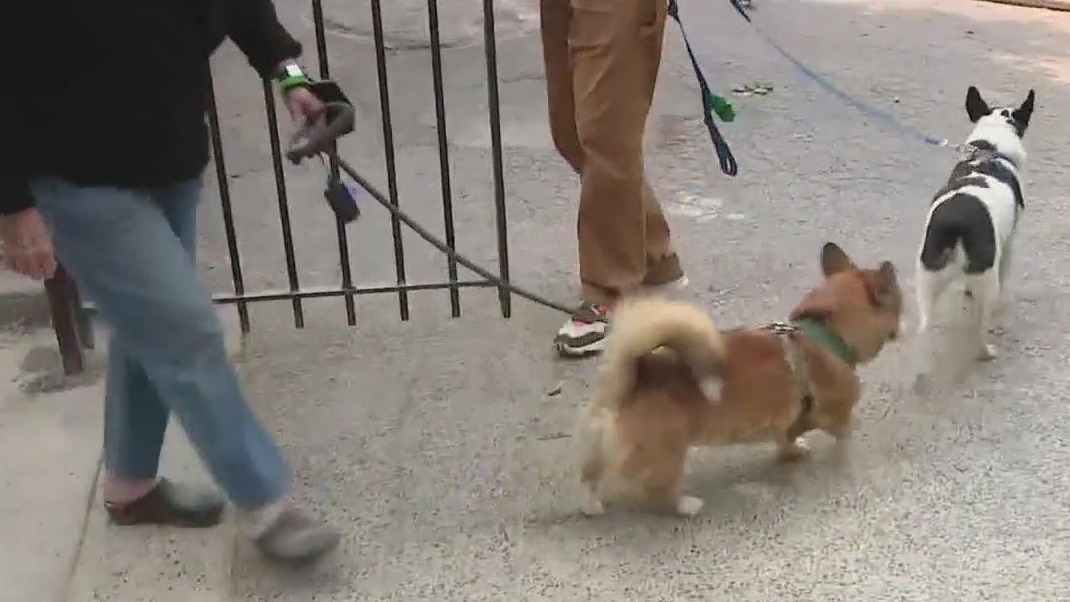 Second confirmed case of rabies in Polk County