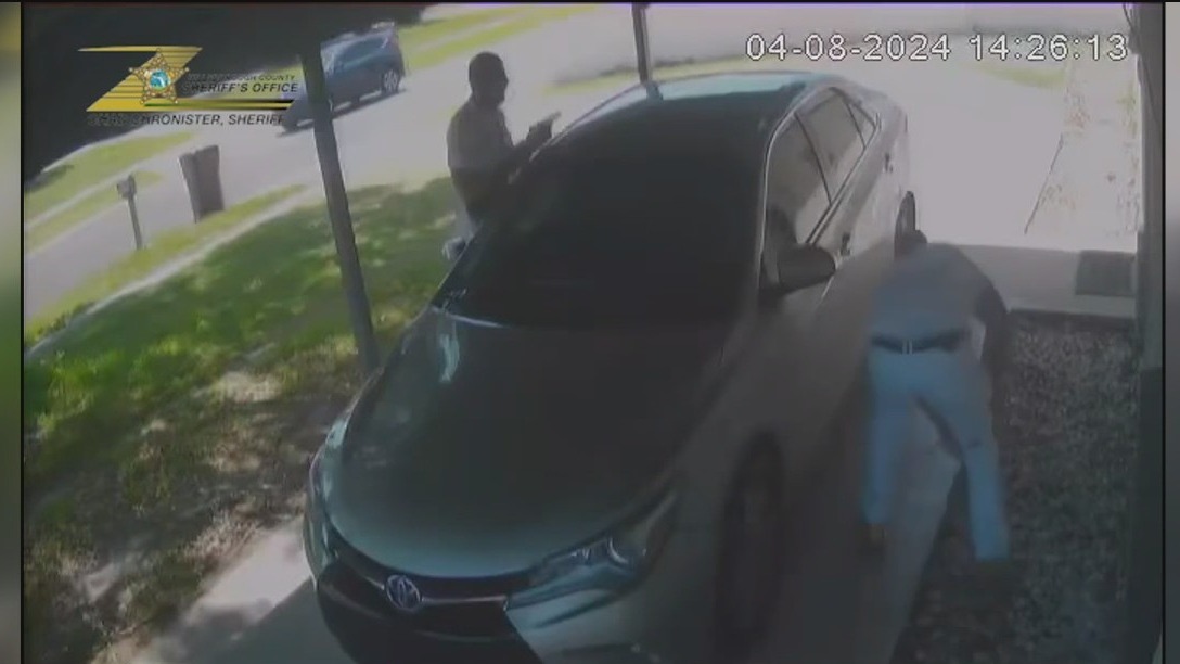 HCSO searching for attempted murder suspect | FOX 13 Tampa Bay