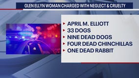 DuPage County woman charged with animal neglect and cruelty after dozens found dead