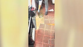 Gold Coast restaurant worker says he was fired for exposing unsanitary conditions