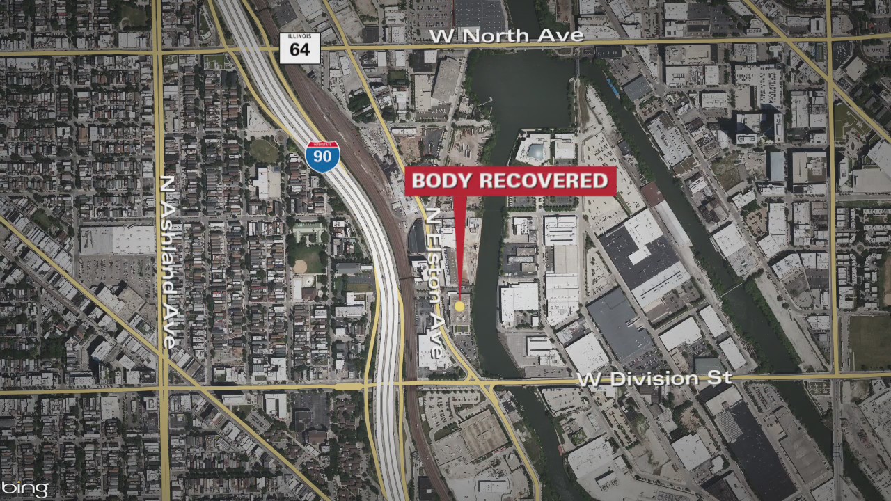 Body pulled from river near Goose Island