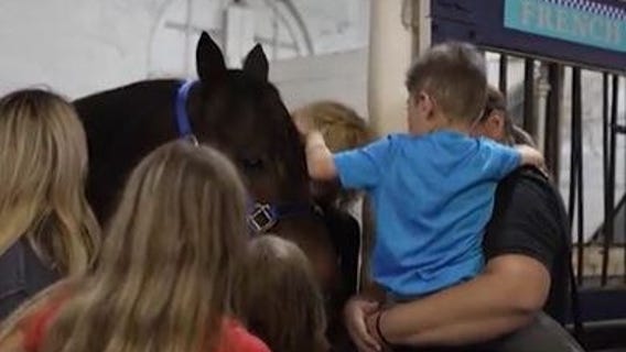 CPD names new horse after fallen Officer Ella French