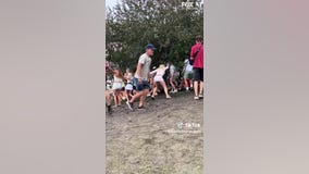 Muddy hill wipes out Lollapalooza goers