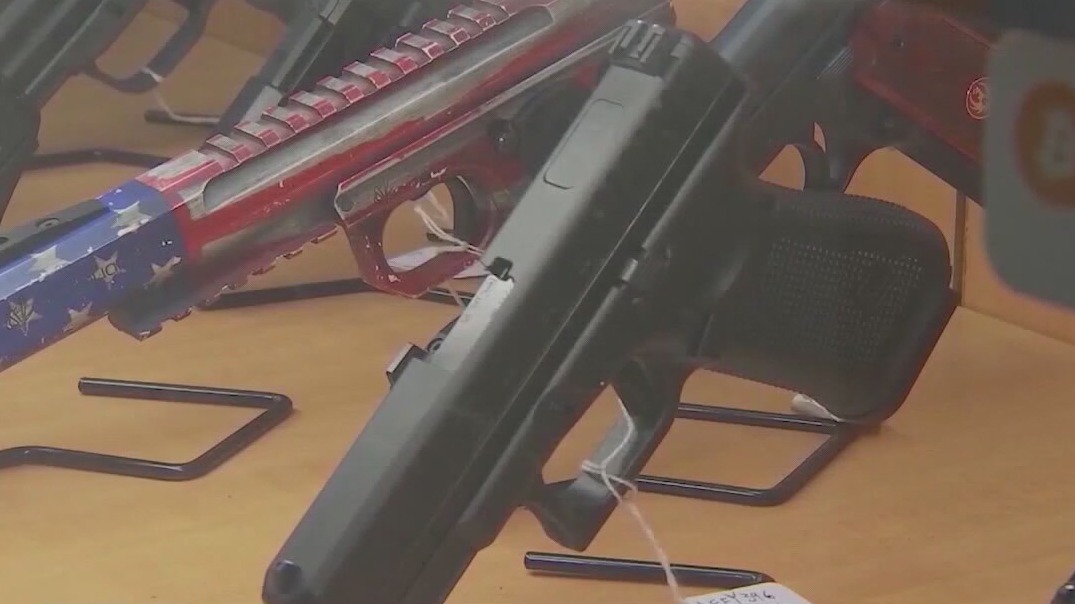 Florida lawmaker proposes guns on college campuses