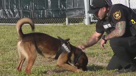 Take Your Child to Work Day at PCSO