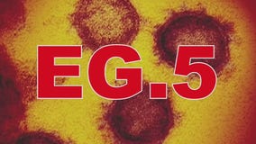 Covid-19 cases in Chicago show uptick