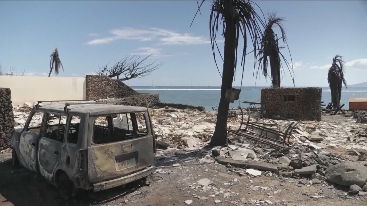 Maui wildfires death toll expected to rise