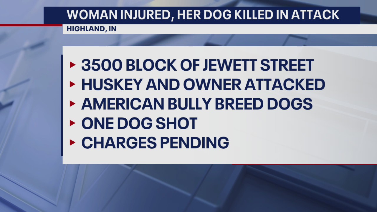 Horrific dog attack leaves Husky dead, multiple people injured in Highland
