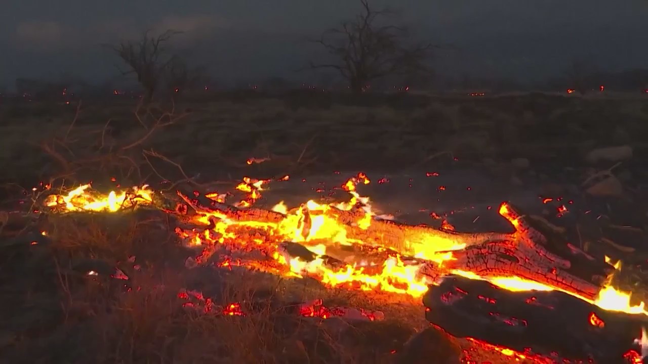 Maui wildfire: Death toll rises to 53; thousands race to escape